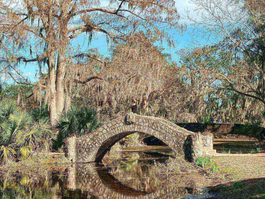 ree-lined street with historic homes in the Garden District of New Orleans