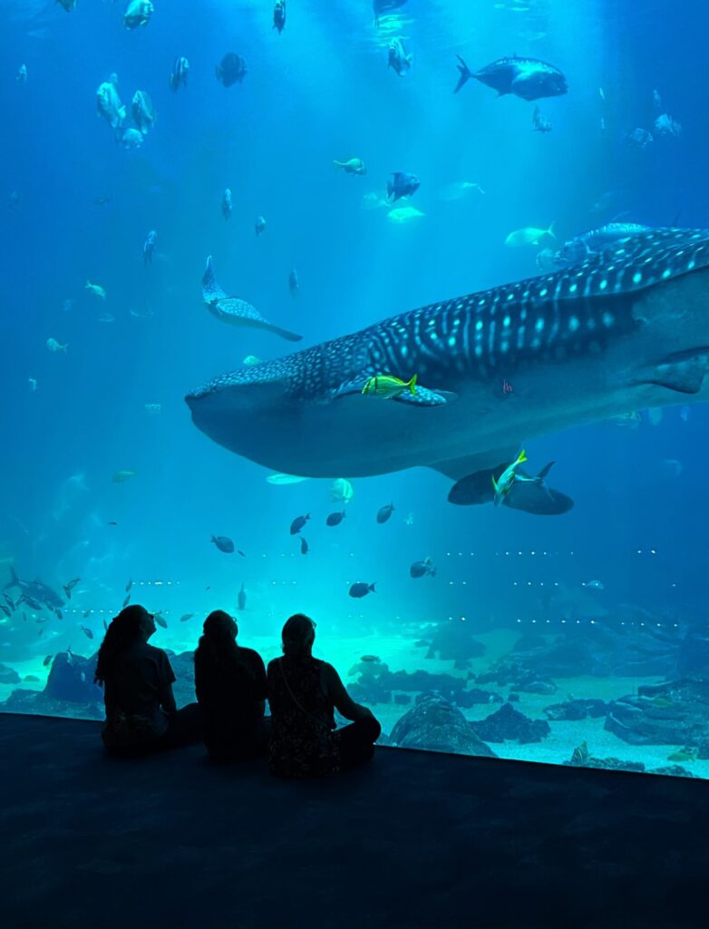 Visitors inside the Ocean Voyager tunnel surrounded by fish and whale sharks at the Georgia Aquarium