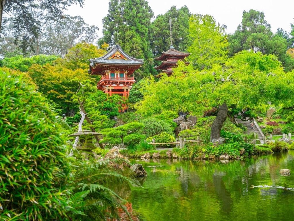 Tranquil scene inside the Japanese Tea Garden in Golden Gate Park