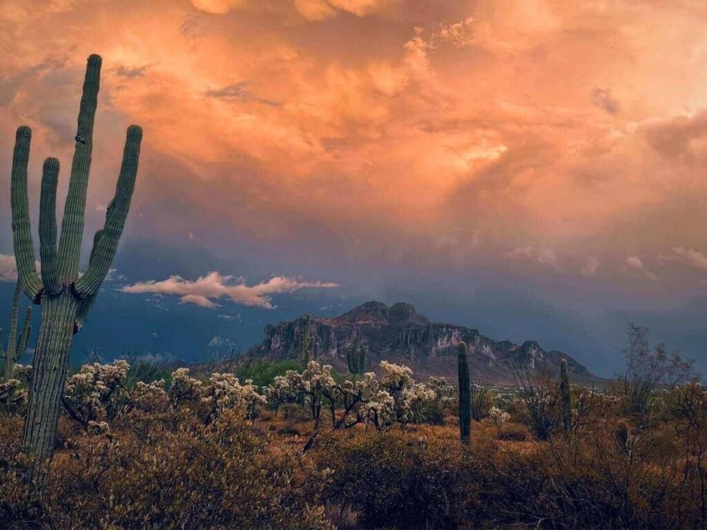 Early morning desert scenery in Phoenix showing the best way to start the day