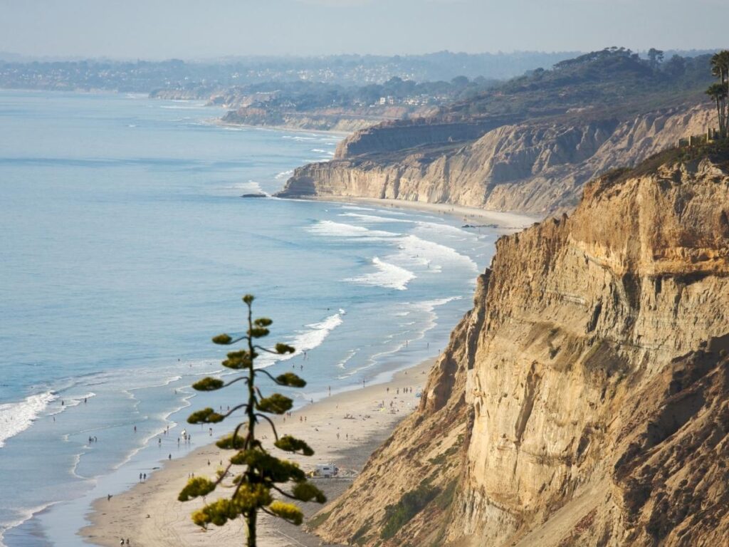 Scenic coastal hiking trail overlooking cliffs and the Pacific Ocean at Torrey Pines Reserve.