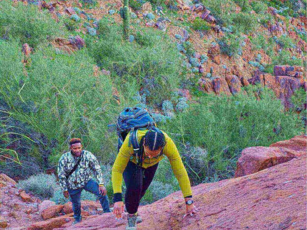 Quiet desert trail near Phoenix during a calm morning