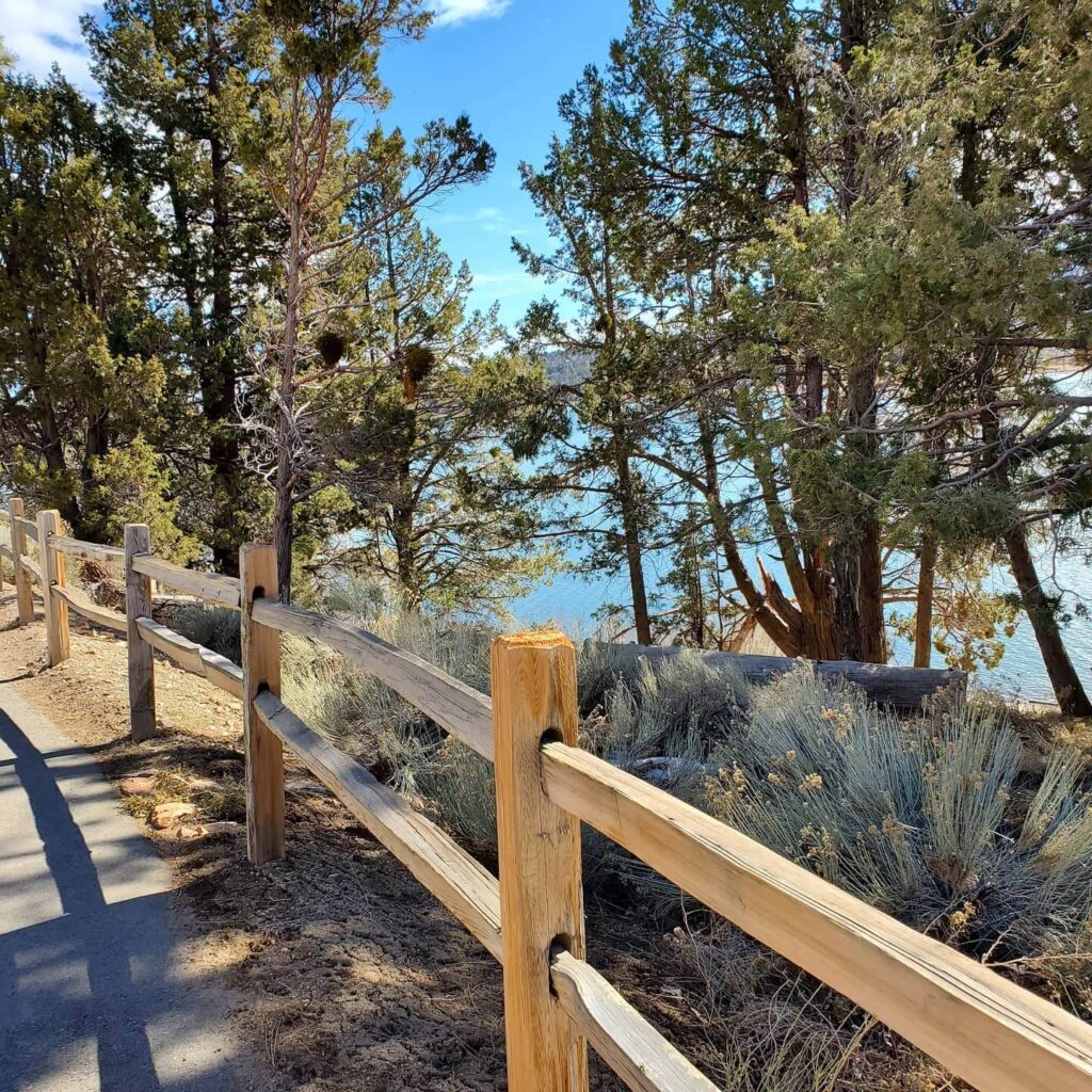 Paved lakeside trail lined with trees on the Alpine Pedal Path in Big Bear