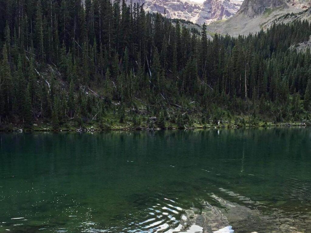 Meadow and forested trail leading toward the peaks near American Lake in Aspen