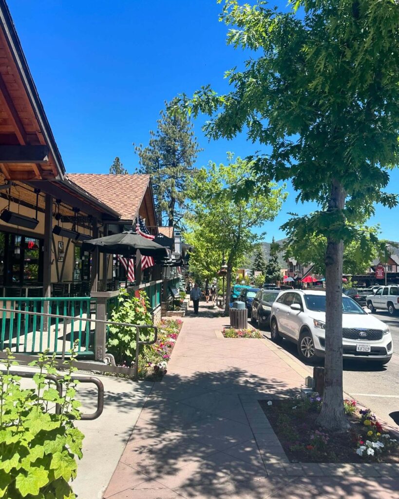 Bustling Big Bear Village