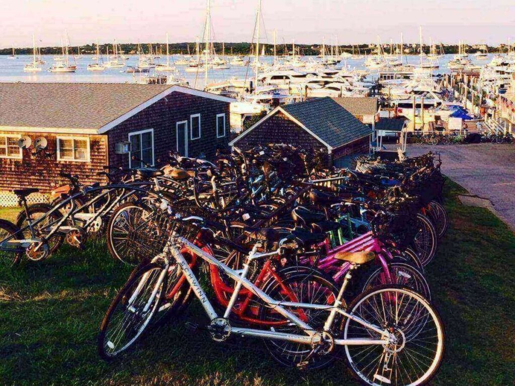 Cyclists riding along a shady lane on Block Island.