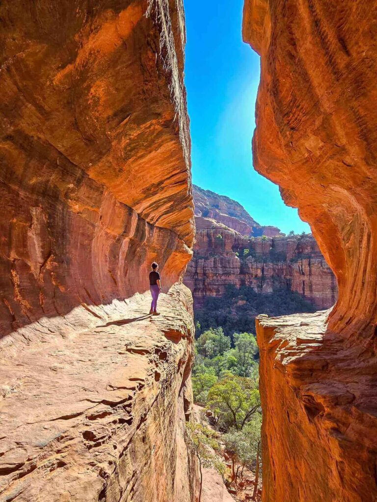 Boynton Canyon Trail surrounded by red rock cliffs and pine trees in Sedona