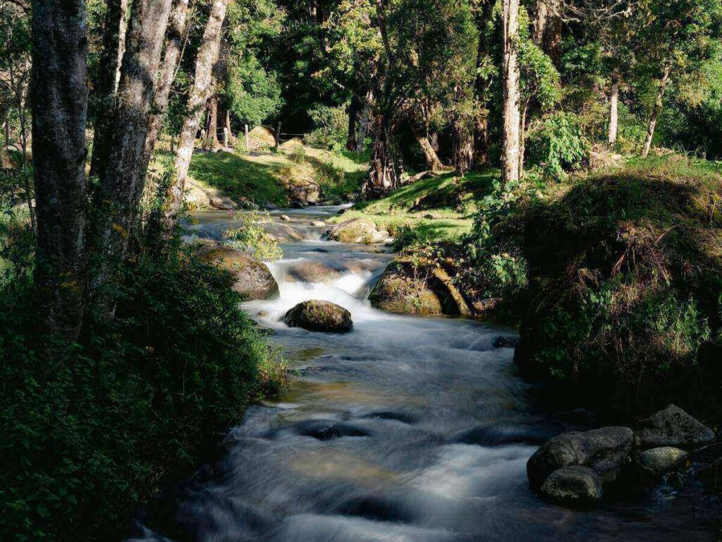 Laurel Falls waterfall at the end of an easy hiking trail near Gatlinburg