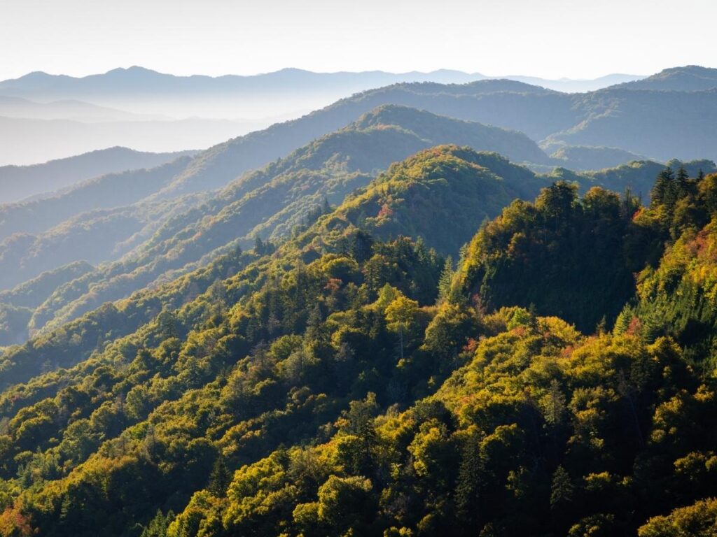 Mountain overlook along a hiking trail in the Great Smoky Mountains.