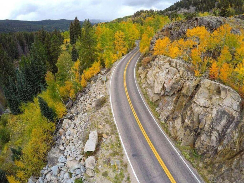Scenic stretch of Independence Pass with alpine wildflowers and a winding road under blue sky