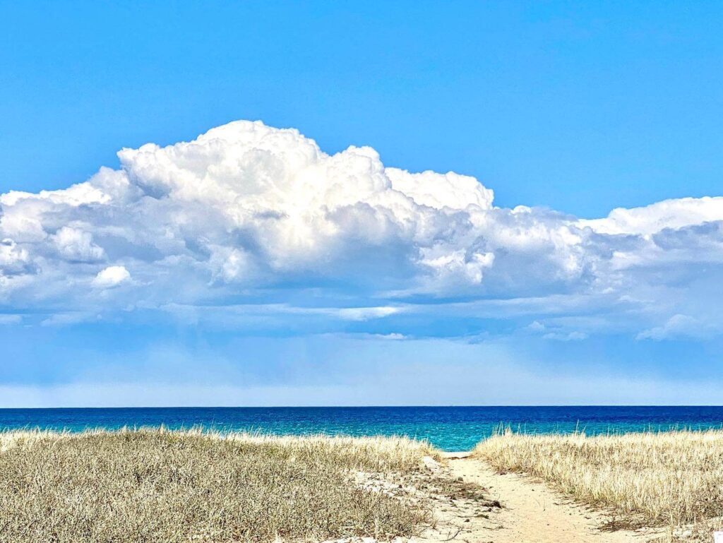 Joseph Sylvia State Beach.