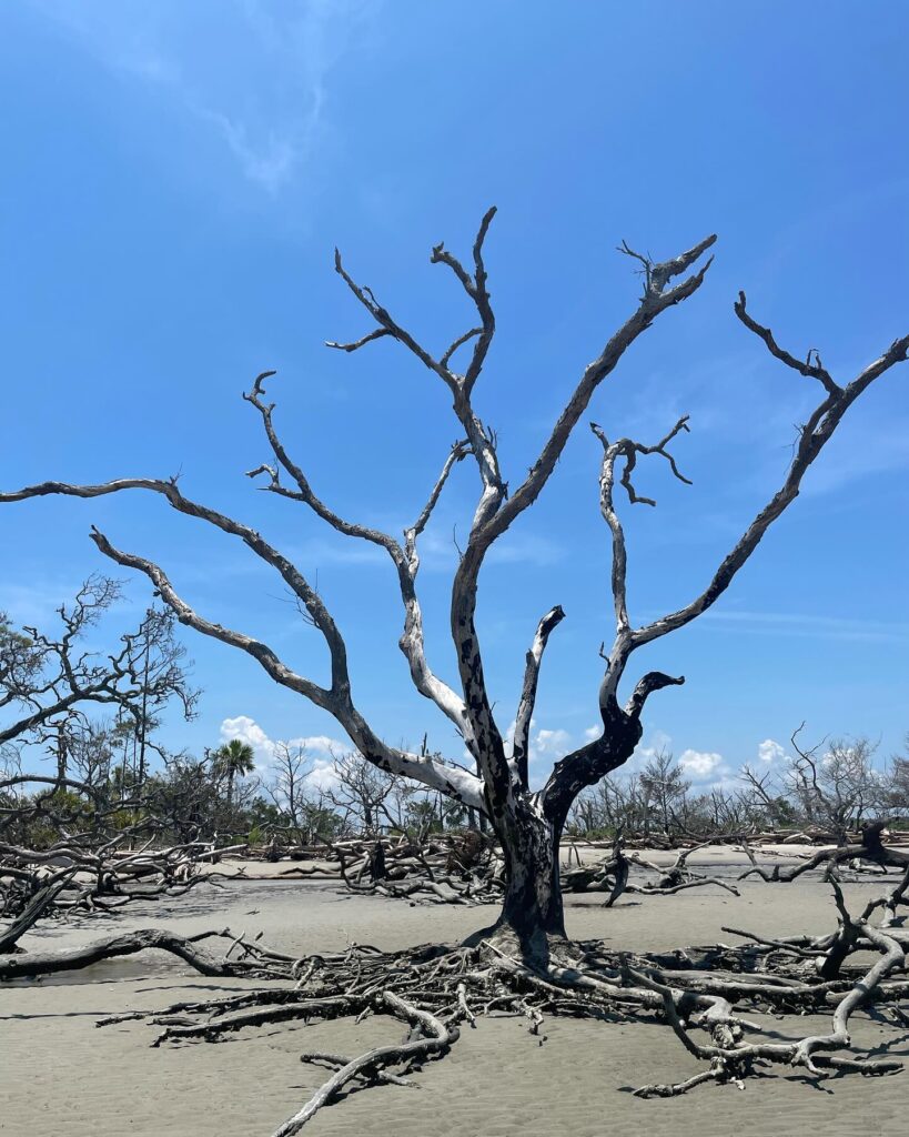 Little Tybee Island, Georgia