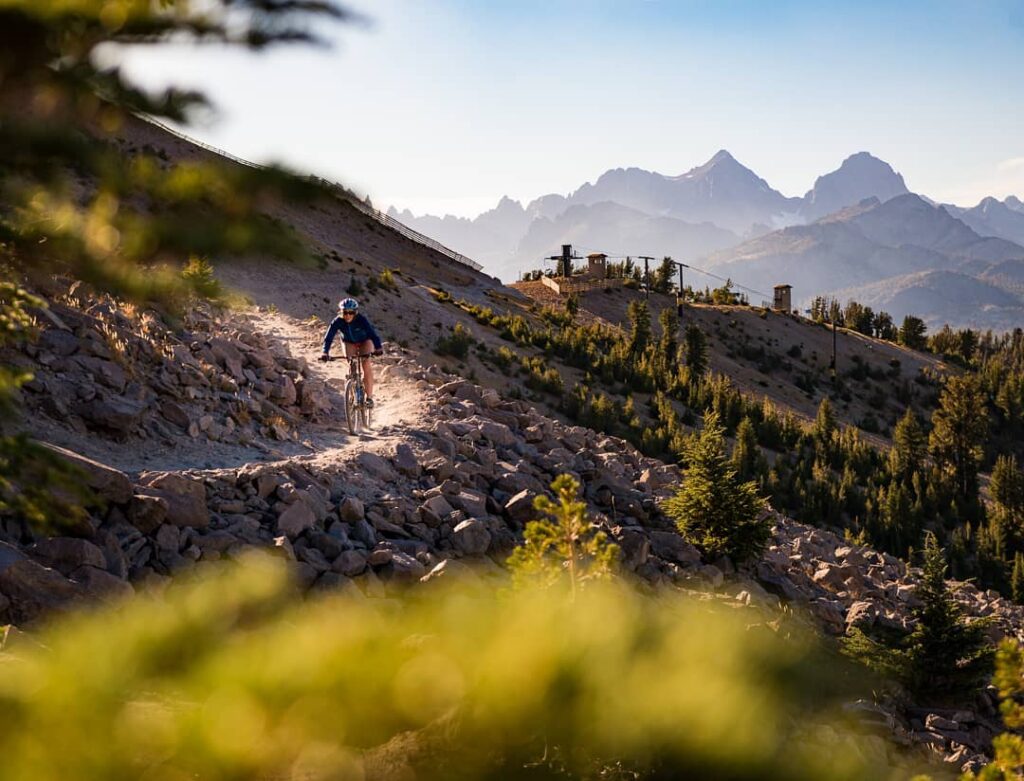 Mountain biker riding a dirt trail with pine forest and mountain backdrop