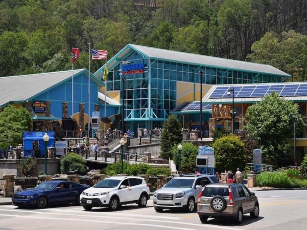 Underwater tunnel at Ripley’s Aquarium of the Smokies with sharks swimming overhead.