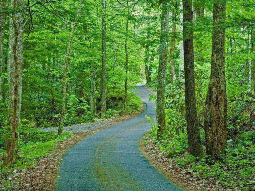 Forest road along Roaring Fork Motor Nature Trail near Gatlinburg