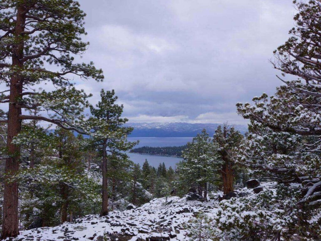 Snowshoeing through a quiet forest trail near Lake Tahoe