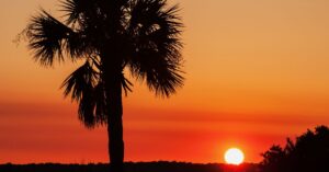 Things to Do in Tybee Island