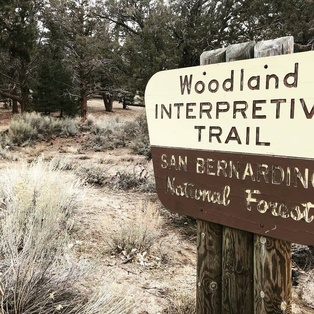 Nature trail with signage surrounded by forest along the Woodland Interpretive Trail