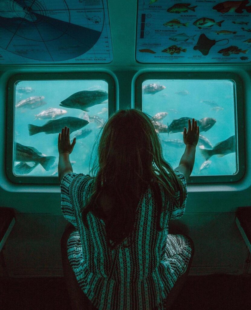 Catalina Glass Bottom Boat Tour