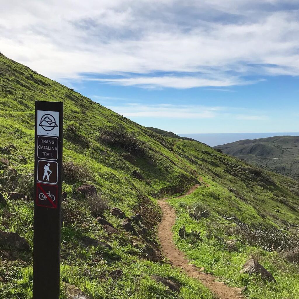Trans-Catalina Trail