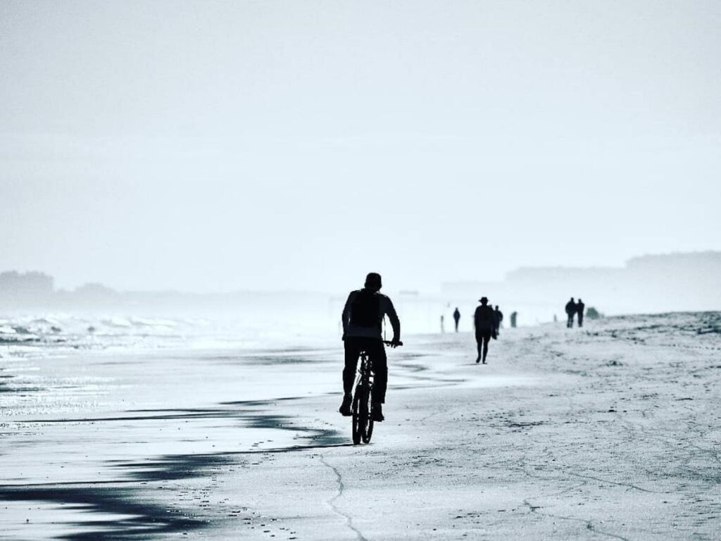Cyclist riding along shaded coastal path surrounded by maritime forest