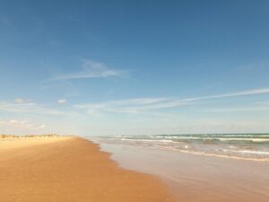 Best Things to Do in South Padre Island