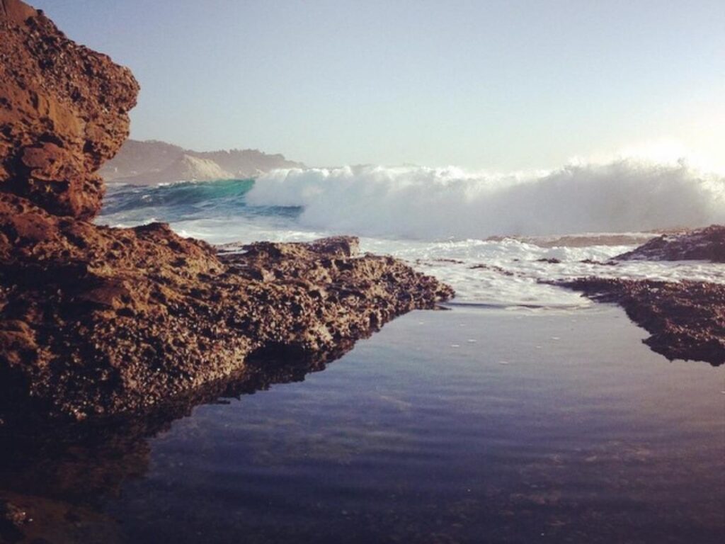 Tidepool with starfish and anemones exposed at low tide on Carmel Point.