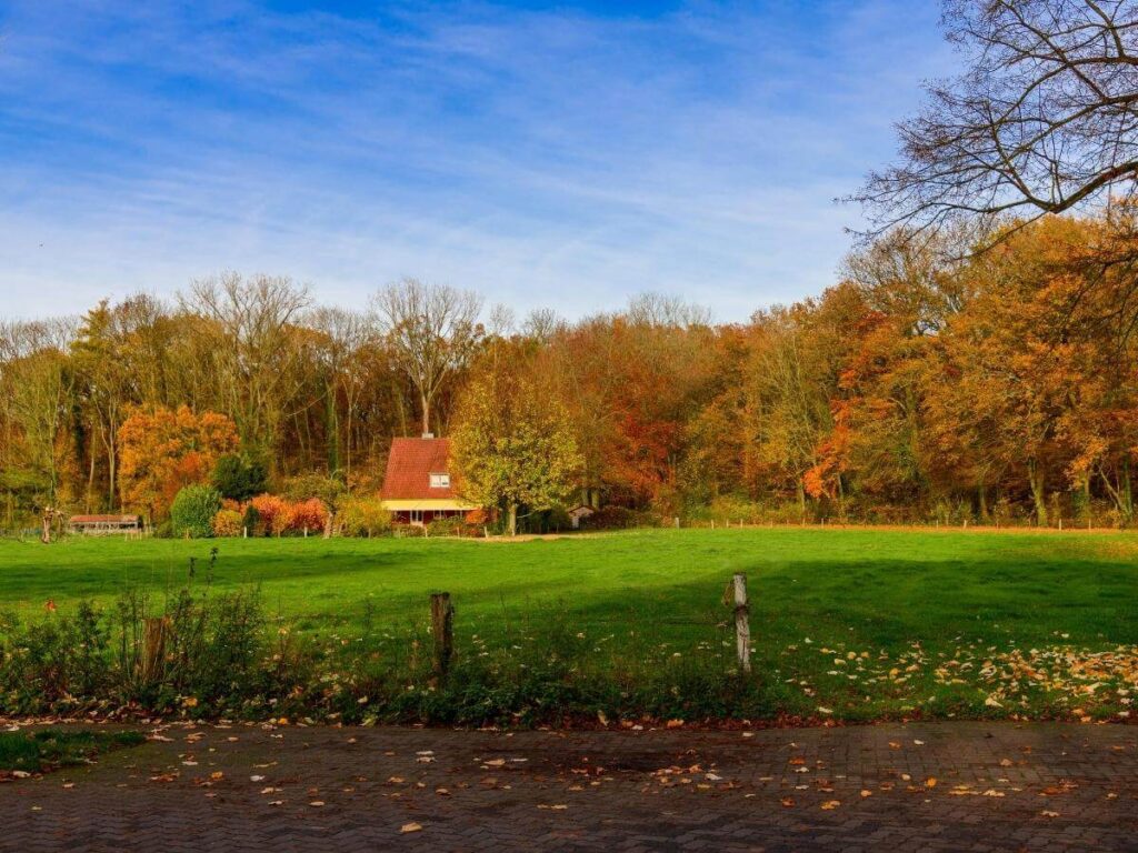 Small cottage tucked into the maritime forest on Bald Head Island