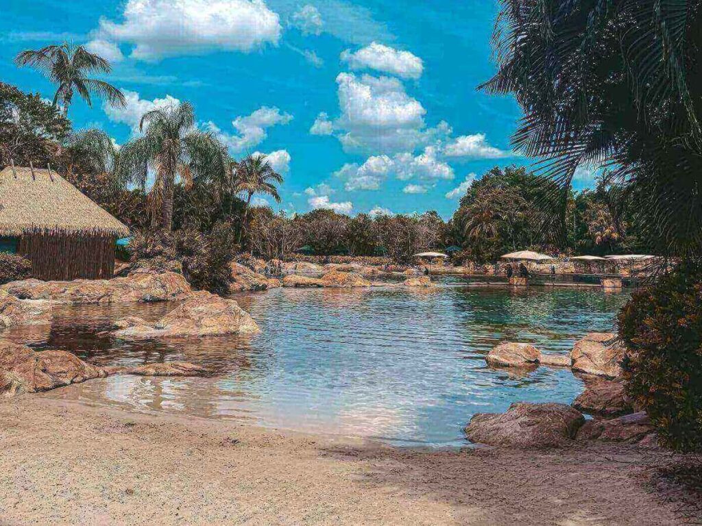 Calm water area at Discovery Cove in Orlando with tropical surroundings