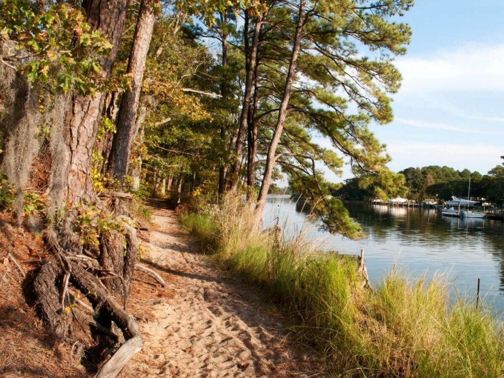 Shady forest trail at First Landing State Park with moss-covered trees
