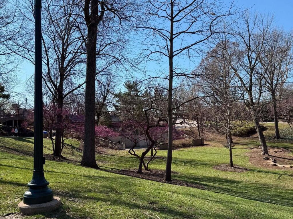 Scenic walking path through Forest Park with people strolling and greenery around