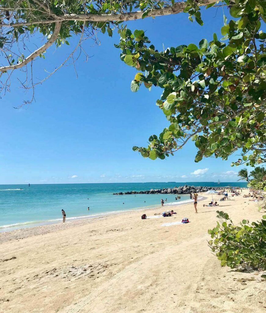 Clear water and shoreline at Fort Zachary Taylor State Park