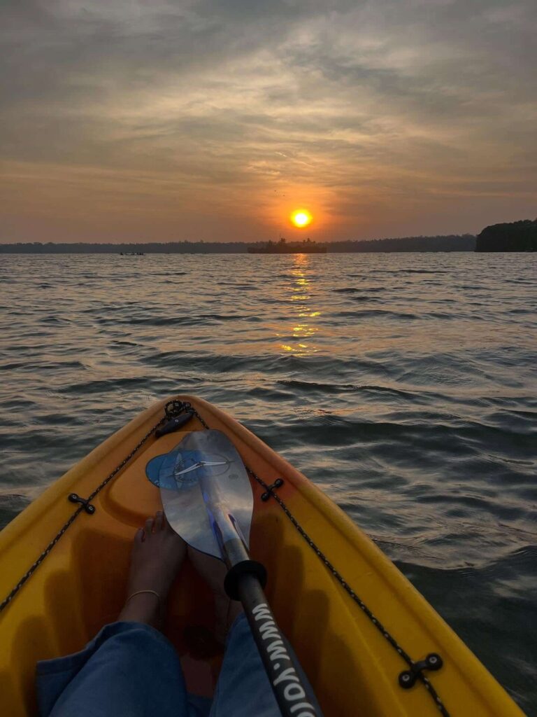 Kayaking through mangrove tunnels near Marco Island in calm water