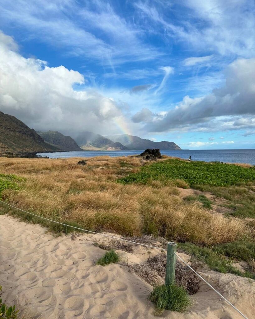 Rugged coastal trail at Kaʻena Point with ocean cliffs and seabird sanctuary in Oahu