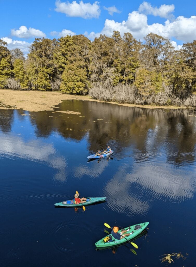 Person kayaking through cypress trees and still waters at Lettuce Lake Park in Tampa
