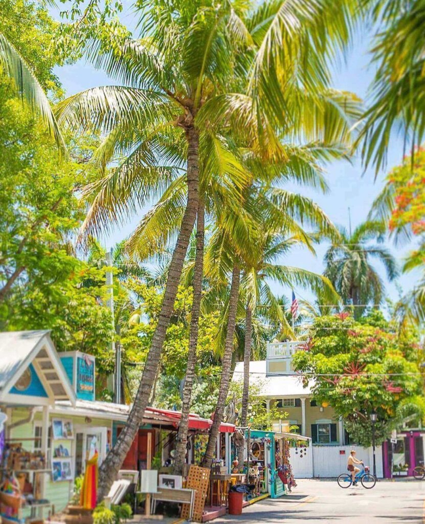 Quiet street in Old Town Key West with pastel houses and palm trees