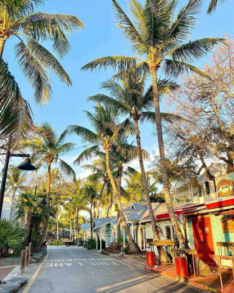 Walking through Old Town Key West with palm trees and colorful houses