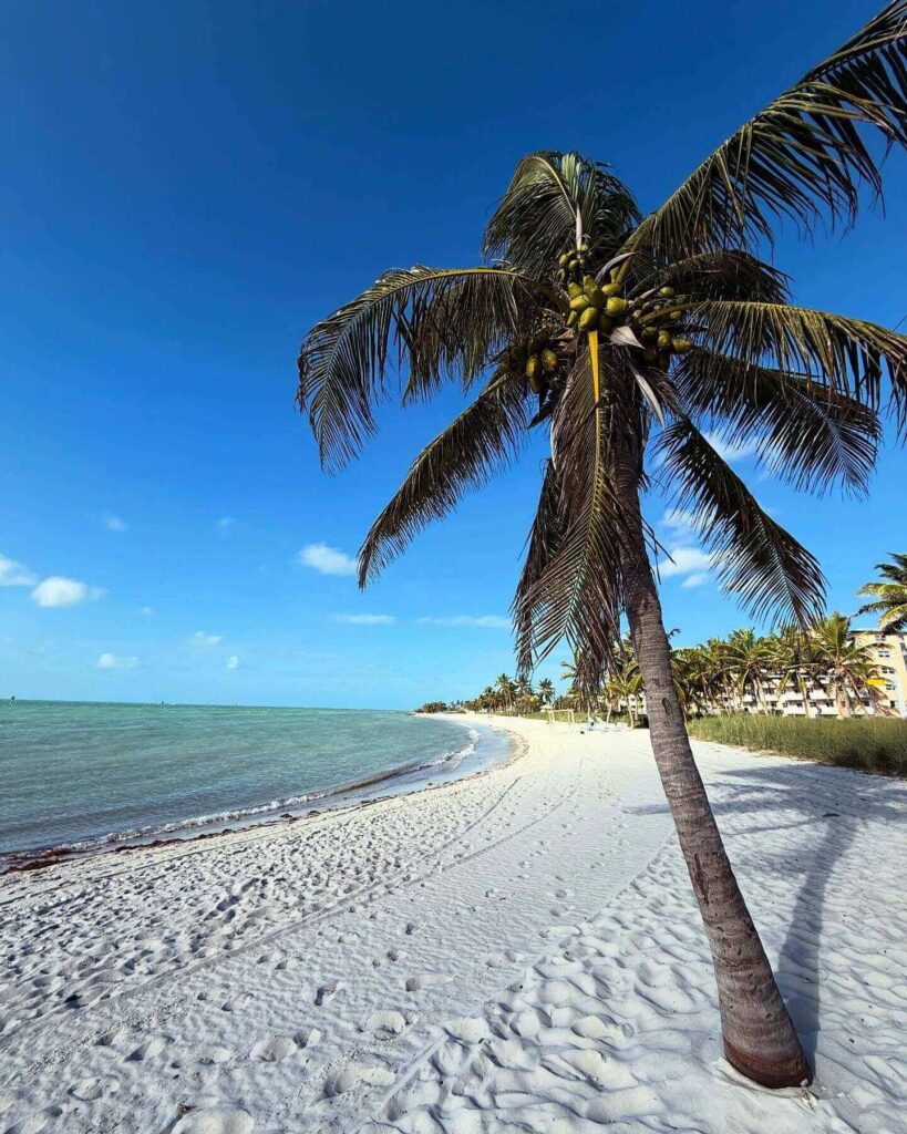 Calm waterfront view in Key West during sunset