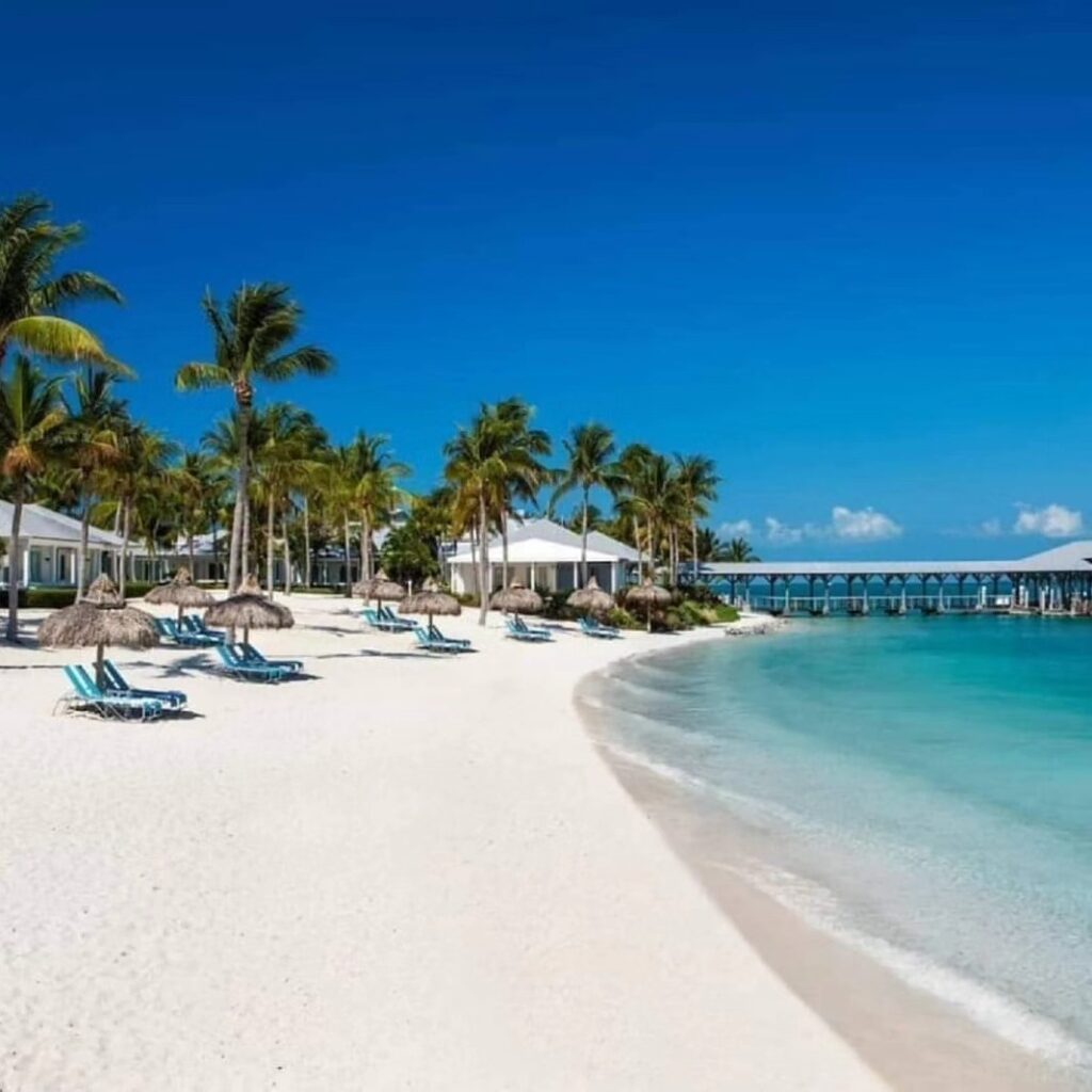 Sunny day in Key West with palm trees and clear sky