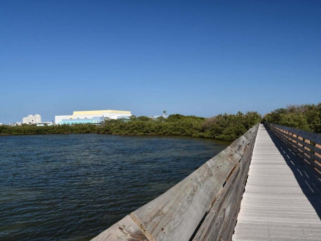 Boardwalk walk through wetlands at Laguna Madre Nature Trail