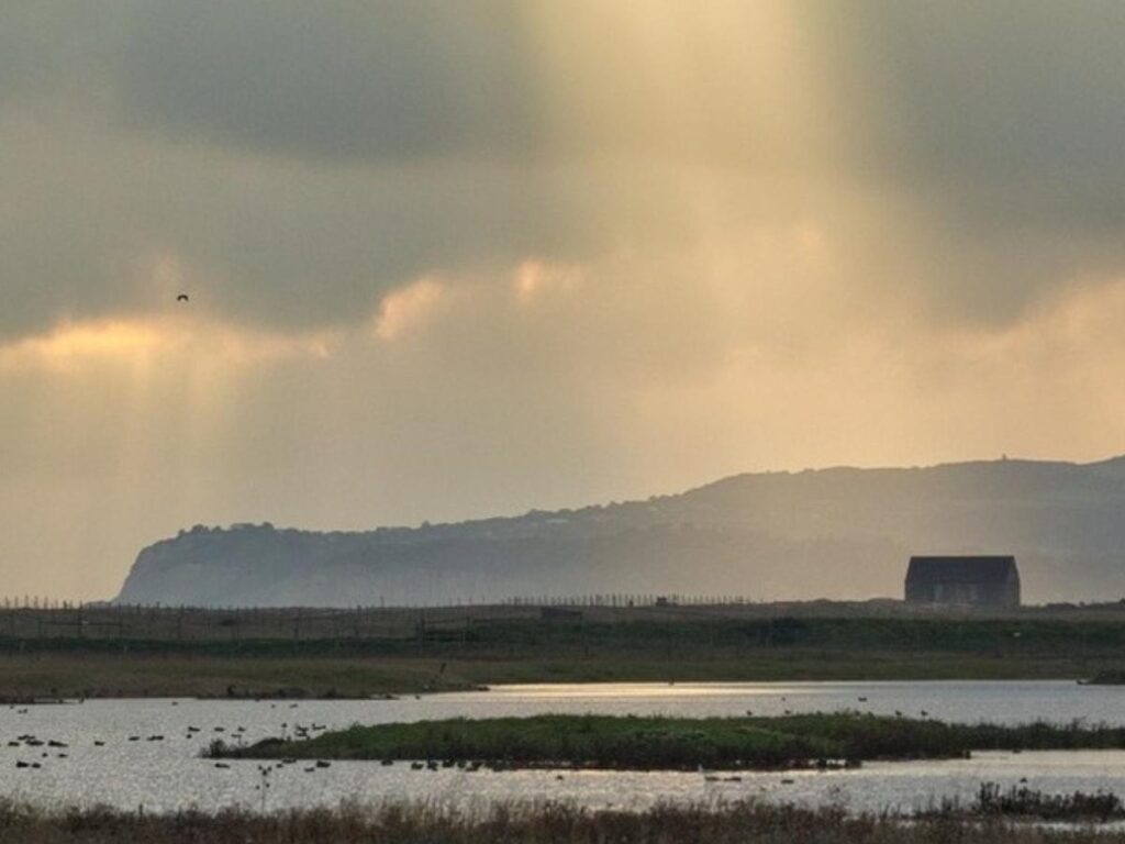 Sun setting over the water at Lime Kiln Point in the San Juan Islands