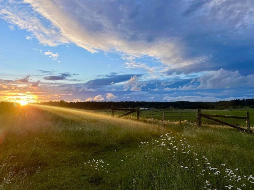 Open landscape on Lopez Island with farmland, water views, and clear skies