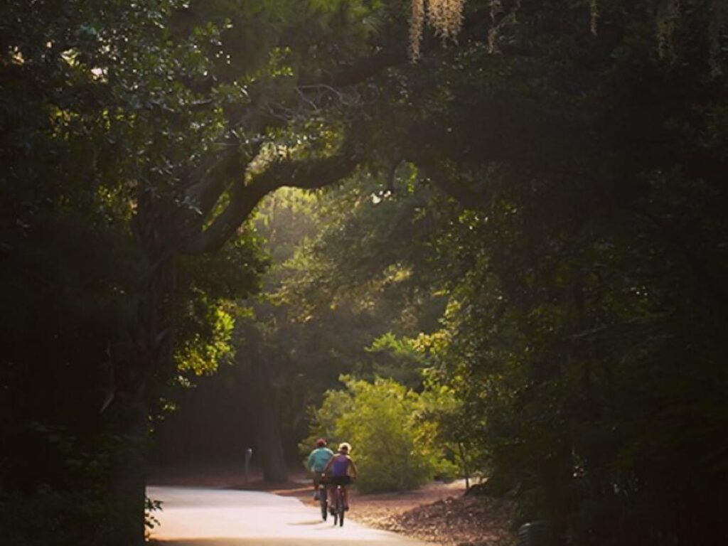 Shaded bike path running through the Bald Head Island maritime forest.