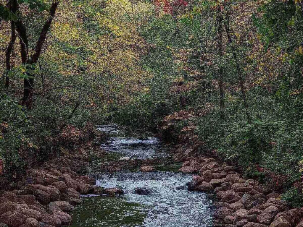 Walking trail near Minnehaha Falls surrounded by trees