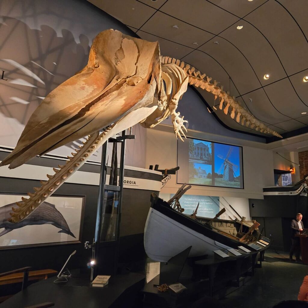 Exhibit inside the Whaling Museum in Nantucket with a full whale skeleton display.