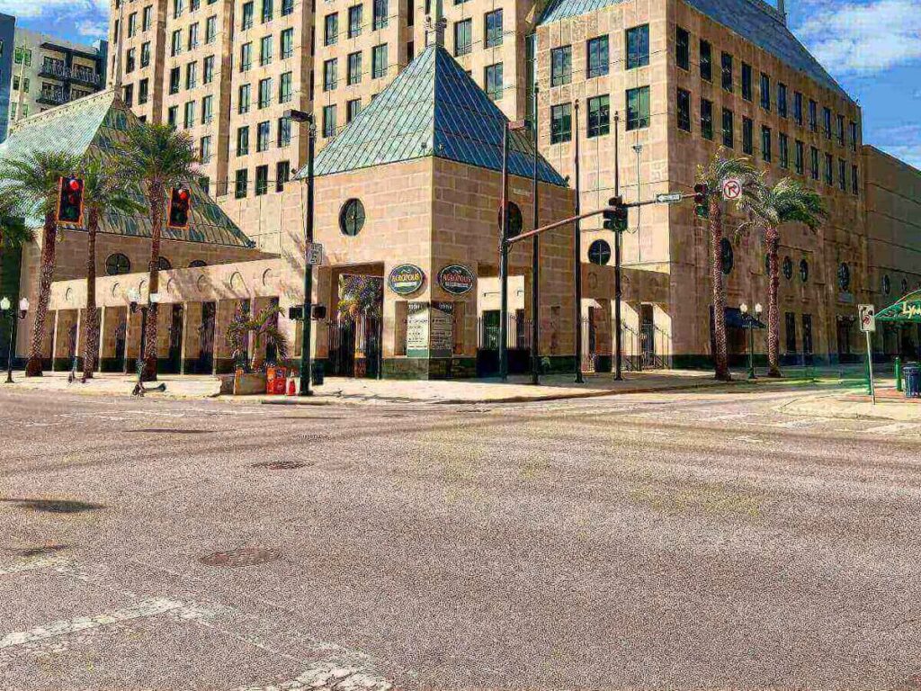 Open road near Orlando with palm trees and blue sky, suggesting a day trip