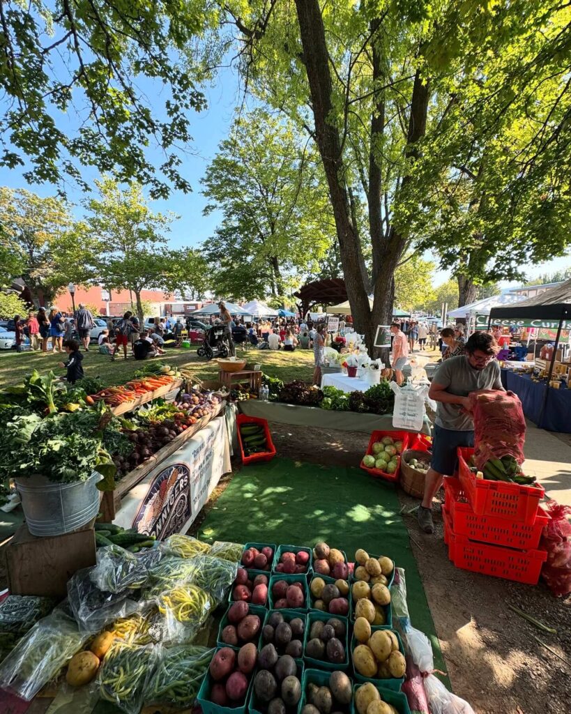 Outdoor weekend market at the Pearl in San Antonio with local vendors, flowers, and people shopping