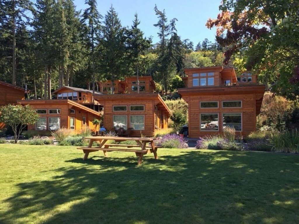 Cabin stay in the San Juan Islands with views of the water and trees