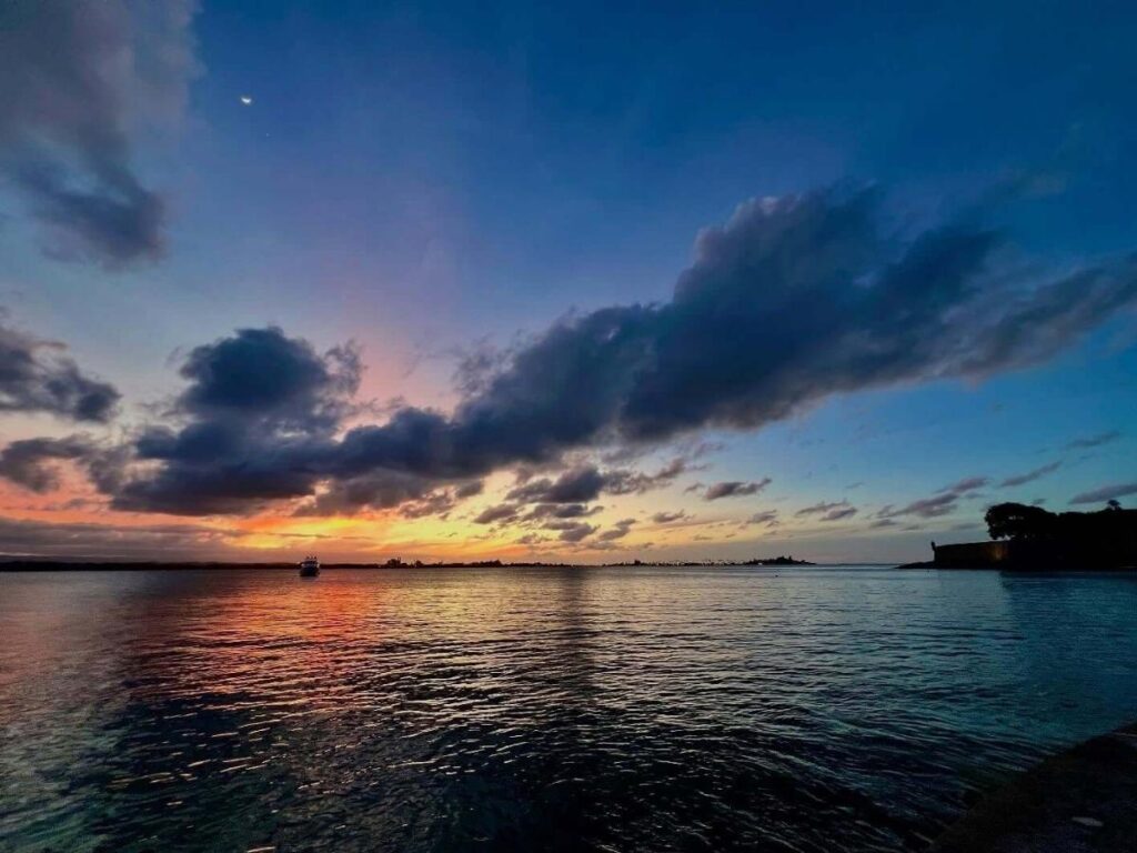 Scenic coastal road in the San Juan Islands with water views and trees