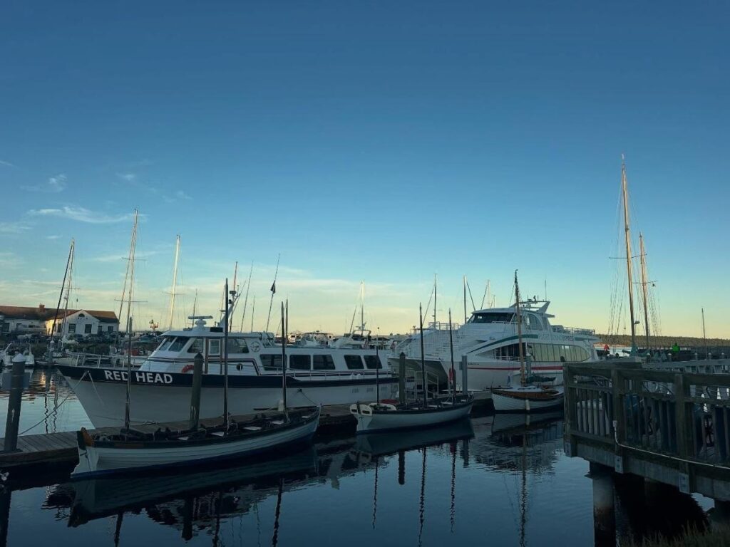 Quiet morning at a San Juan Islands harbor with boats and soft light